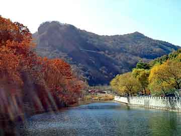 新澳天天开奖资料大全旅游团，珊子